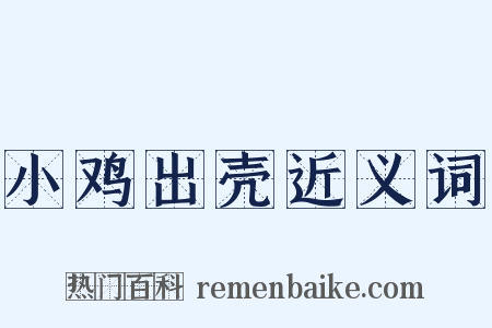 小鸡出壳近义词是什么意思的图片